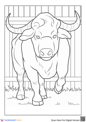 Bull Coloring Page – Strong Farm Animal Illustration
