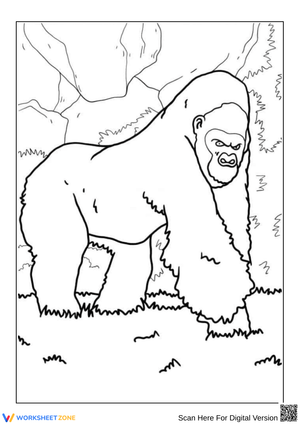 Gorilla Coloring Page for Kids