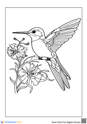 Hummingbird and Flowers Coloring Page