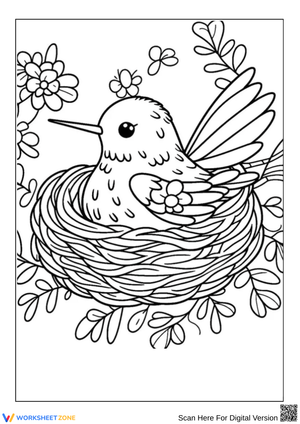 Cute Hummingbird in Nest Coloring Page