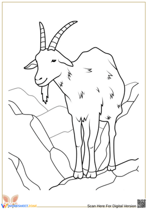 Mountain Goat Coloring Page