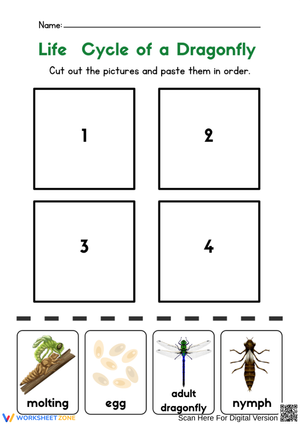 Dragonfly Life Cycle Cut and Paste Worksheet