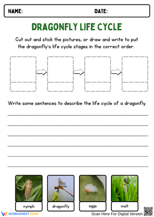 Dragonfly Life Cycle Sequencing and Writing Worksheet