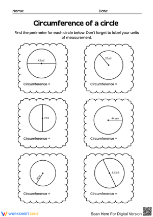 Circumference of a Circle Worksheet