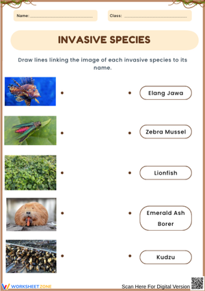 Invasive Species Matching Activity