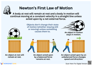 Newton’s First Law of Motion Activity Sheet