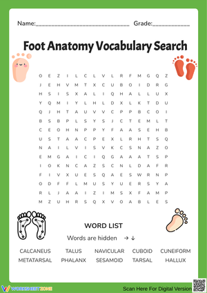 Foot Anatomy Vocabulary Word Search