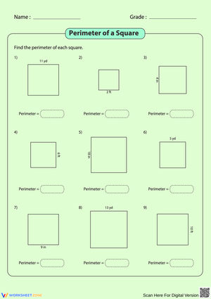 Perimeter of a Square Worksheet