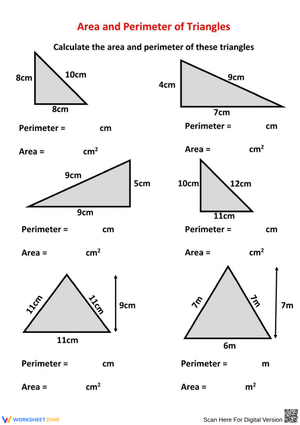 Triangle Area and Perimeter Worksheet
