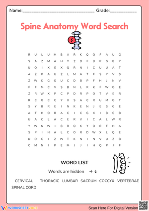 Spine Anatomy Word Search Worksheet
