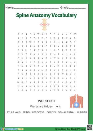 Spine Anatomy Vocabulary Word Search