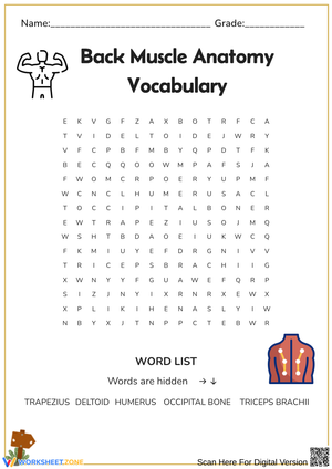 Back Muscle Anatomy Word Search