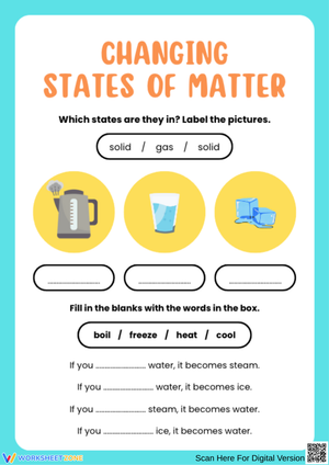Changing States of Matter Activity Worksheet