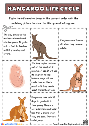 Kangaroo Life Cycle Cut and Paste Worksheet