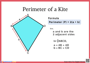 Perimeter of a Kite – Formula and Practice