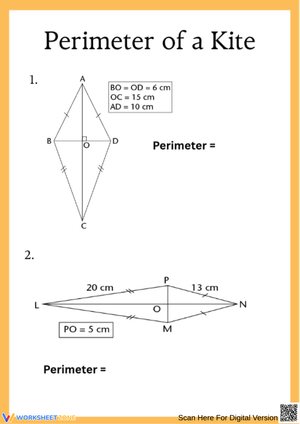 Perimeter of a Kite Practice Problems