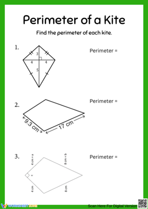 Kite Perimeter Geometry Worksheet