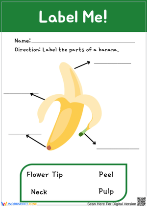 Label the Parts of a Banana Worksheet