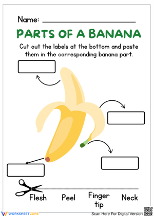 Parts of a Banana Cut-and-Paste Worksheet