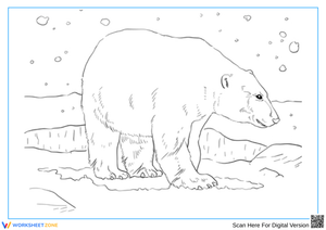 Polar Bear Coloring Pages – Arctic Wildlife