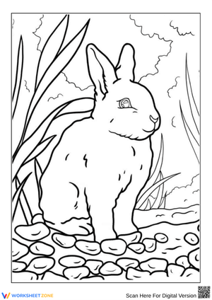 Rabbit in Nature Coloring Page
