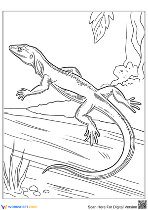 Lizard Coloring Page – Realistic Reptile in Nature