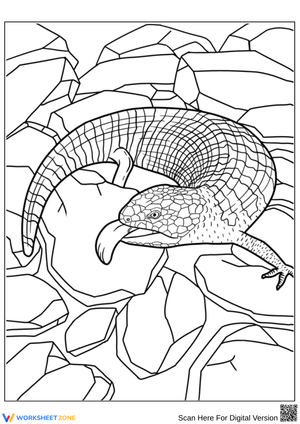 Scaly Lizard on Rocky Terrain Coloring Page