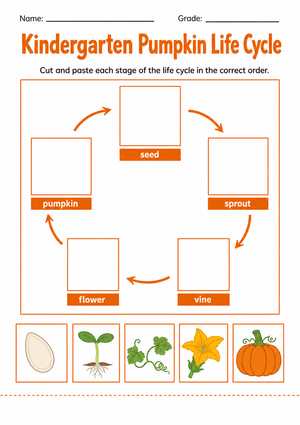 Kindergarten Pumpkin Life Cycle Cut and Paste Worksheet