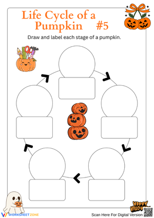 Kindergarten Pumpkin Life Cycle Draw and Label Worksheet