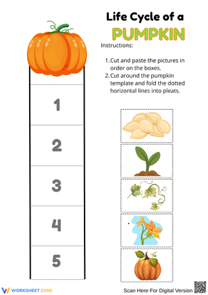 Pumpkin Life Cycle Cut and Paste Worksheet
