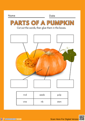Parts of a Pumpkin Craft Worksheet for Grade 2