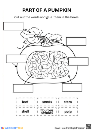 Part of a Pumpkin Cut-and-Paste Activity