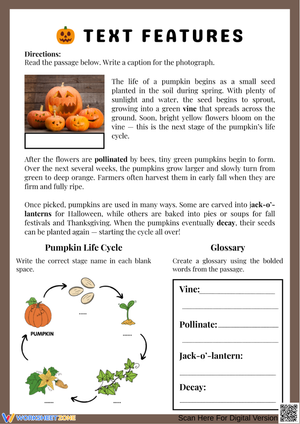 Pumpkin Text Features Worksheet – Life Cycle and Glossary Activity