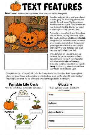 Pumpkin Text Features Worksheet – Life Cycle and Glossary Activity