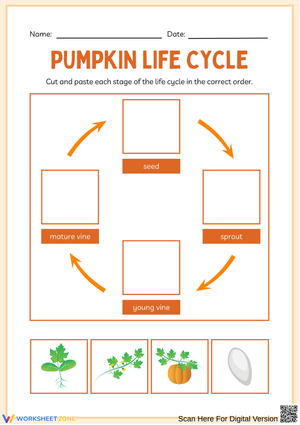 Pumpkin Life Cycle Cut and Paste Worksheet