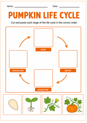 Pumpkin Life Cycle Cut and Paste Worksheet
