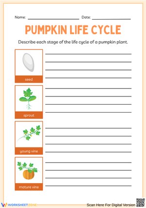 Pumpkin Life Cycle Writing Activity for Kids