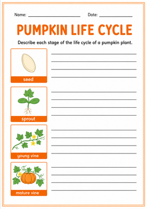 Printable Pumpkin Life Cycle Writing | Grade 2 Science
