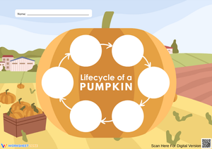 Life Cycle of a Pumpkin – Cut and Paste Science Worksheet