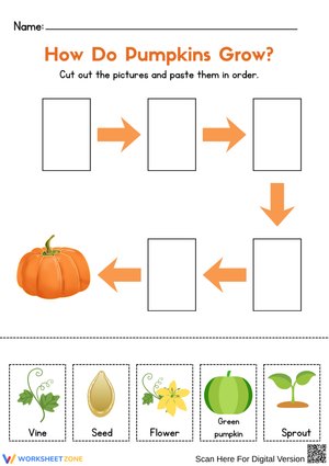 How Do Pumpkins Grow? – Life Cycle Science Worksheet