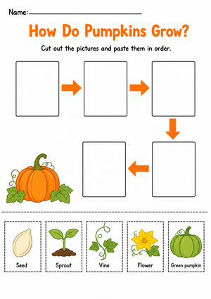 How Do Pumpkins Grow? – Life Cycle Science Worksheet