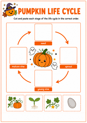 Pumpkin Life Cycle Cut and Write Worksheets