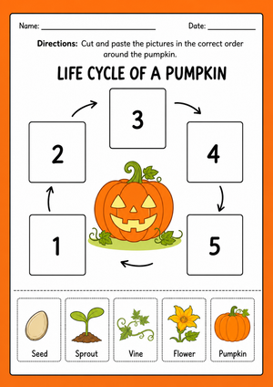 Pumpkin Life Cycle Cut and Paste Worksheet for Kids