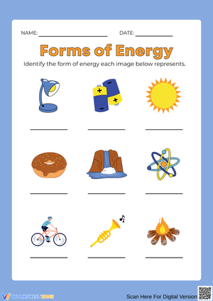 Forms of Energy Identification Worksheet