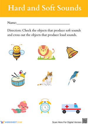 Hard and Soft Sounds – Check or Cross Activity