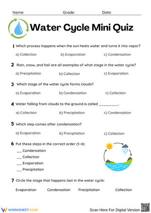 Water Cycle Mini Quiz