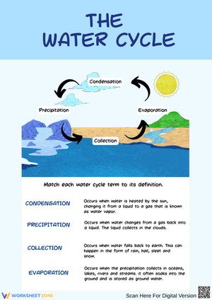 Water Cycle Definition Matching Worksheet