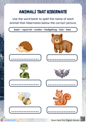 Hibernating Animals Spelling Worksheet
