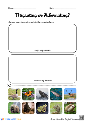 Migrating or Hibernating Sorting Worksheet