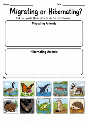 Essential Migrating or Hibernating Sorting Worksheet